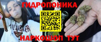 ГАЛЛЮЦИНОГЕННЫЕ ГРИБЫ Пугачёв