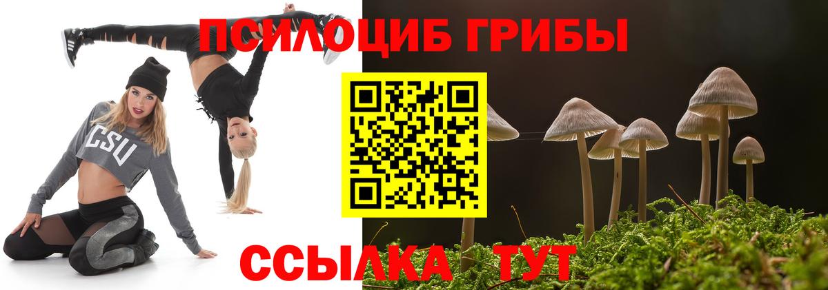 Первоуральск  Галлюциногенные грибы Magic Shrooms  Вход с VPN  Псилоцибиновые грибы ЛСД 